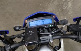 KAWASAKI D-TRACKERX LX250V