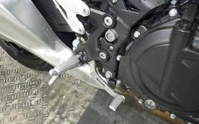 KAWASAKI Z250 Gen.2 2020 EX250Y