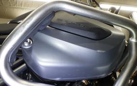BMW R1250R 2022