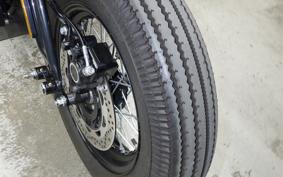 OTHER THUNDER 250 2024