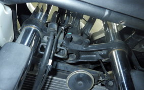 KAWASAKI NINJA 250 ABS EX250L