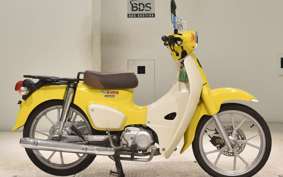 HONDA C110 SUPER CUB JA59