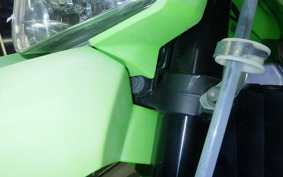 KAWASAKI KLX250 Gen.2 LX250S