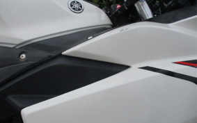 YAMAHA YZF-R25 ABS RG10J
