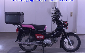 OTHER  CROSS  CUB 110-2