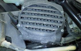 HONDA ZOOMER 2026 AF58