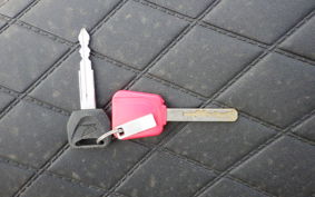 HONDA REBEL 250 S MC49