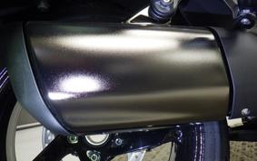 BMW R1300RT ASA 2025