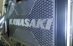 KAWASAKI Z900RS 2024