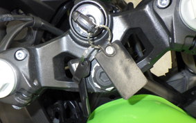 KAWASAKI NINJA 250 2002 EX250P