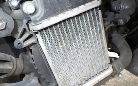 HONDA TACT Basket AF75