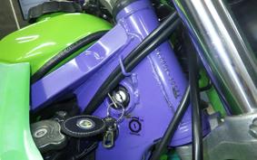 KAWASAKI KLX250 ES Type LX250E
