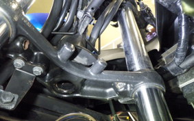 KAWASAKI NINJA 250 2015 EX250L