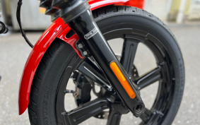 HARLEY FXBBS 2023 YYK