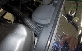 HARLEY XL883 2003