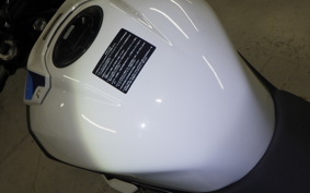 BMW S1000R M PACKAGE 2021