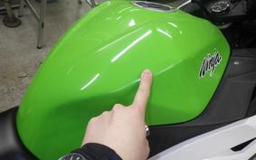 KAWASAKI NINJA 250 2009 EX250L