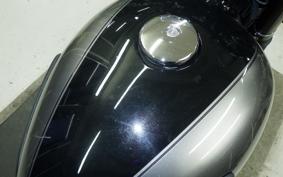 KAWASAKI W800 CAFE 2021 EJ800B