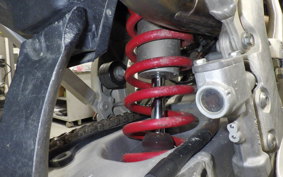 SUZUKI RM-Z250 2022