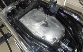 KAWASAKI W800 STREET 2021 EJ800E