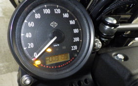 HARLEY XL1200NS 2021