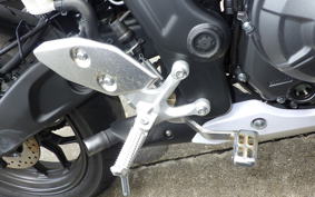 YAMAHA YZF R-3 2025 RH25J