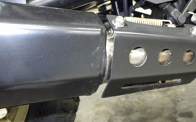 OTHER +ﾏｯﾄﾓｰﾀｰｻｲｸﾙ250 1995