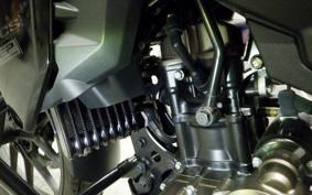 SUZUKI Vｽﾄﾛｰﾑ250SX EL11L