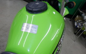 KAWASAKI SUPER SHERPA 2018 KL250G