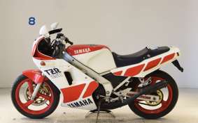 YAMAHA TZR250 1KT