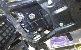 YAMAHA DT250 1996 1N6