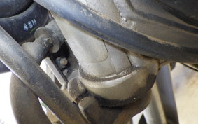 YAMAHA TRICKER DG10J