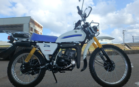 SUZUKI TF125 TF125