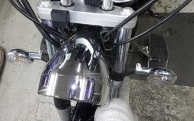 YAMAHA DRAGSTAR 250 2021 VG05J