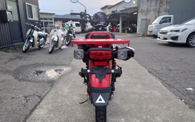 HONDA CT125 HUNTER  CUB  JA55