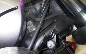 TRIUMPH TRIDENT 660 2024