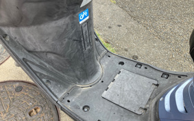 YAMAHA AKUSHI STREET SE53J