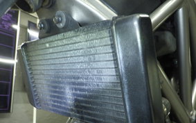 HONDA VTR 250 2019 MC33