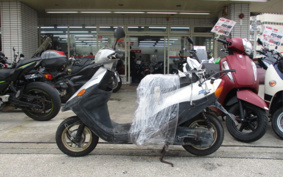 YAMAHA BJ SA24J