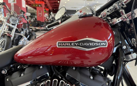 HARLEY FLSB 2019 YMJ