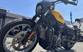 HARLEY  HARLEY RH975S NIGHT  STAR  2023 ZF1