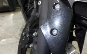 KAWASAKI NINJA 250 2025 EX250L