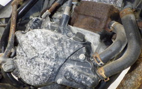 HONDA NS50F 2016 AC08