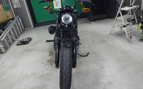 OTHER +HD. XL1200X 2019
