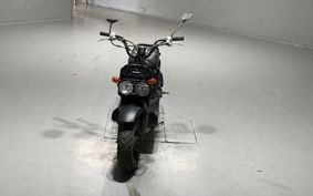 HONDA ZUMAR AF58