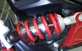 INDIAN FTR1200 carbon 2022