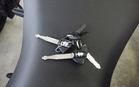 SUZUKI GSX250RA 2021