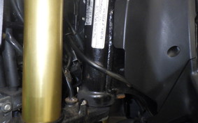 HONDA ZOOMER-X 1996 JF52