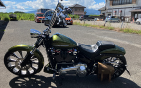 HARLEY  HARLEY FXBRS 2022 YHK