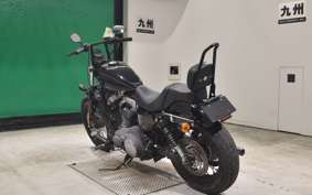 OTHER +HD. XL1200N 2010